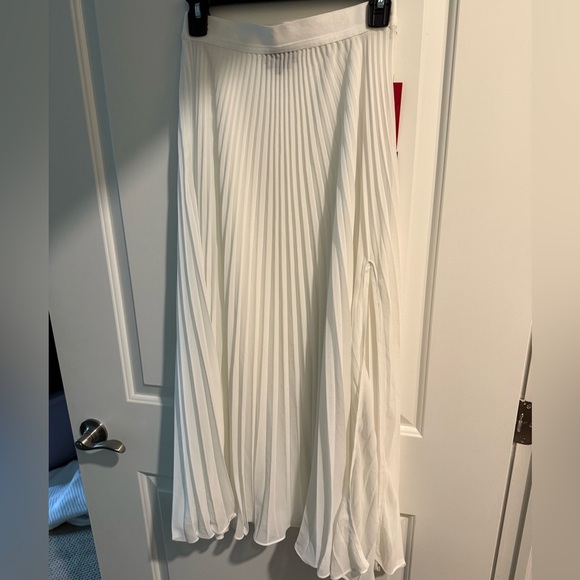 Carbon38 Mesh Pleated Maxi Skirt - Picture 3 of 9